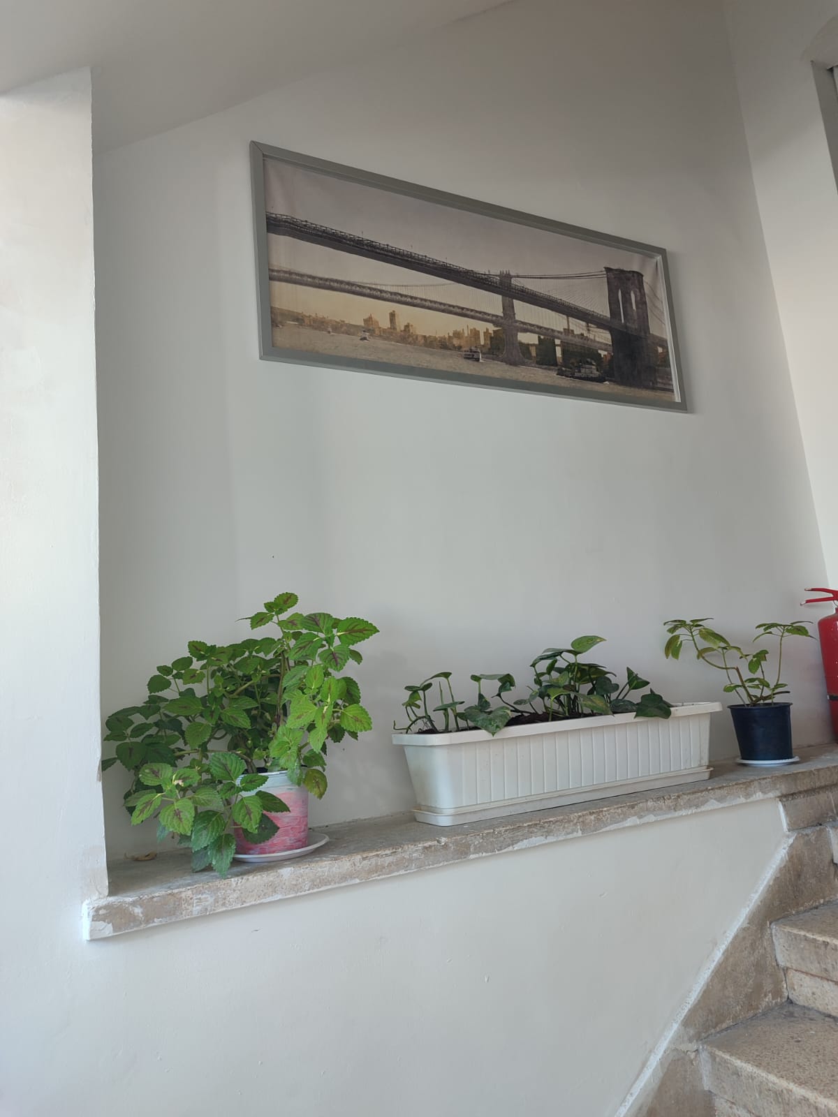 נישת מדרגות