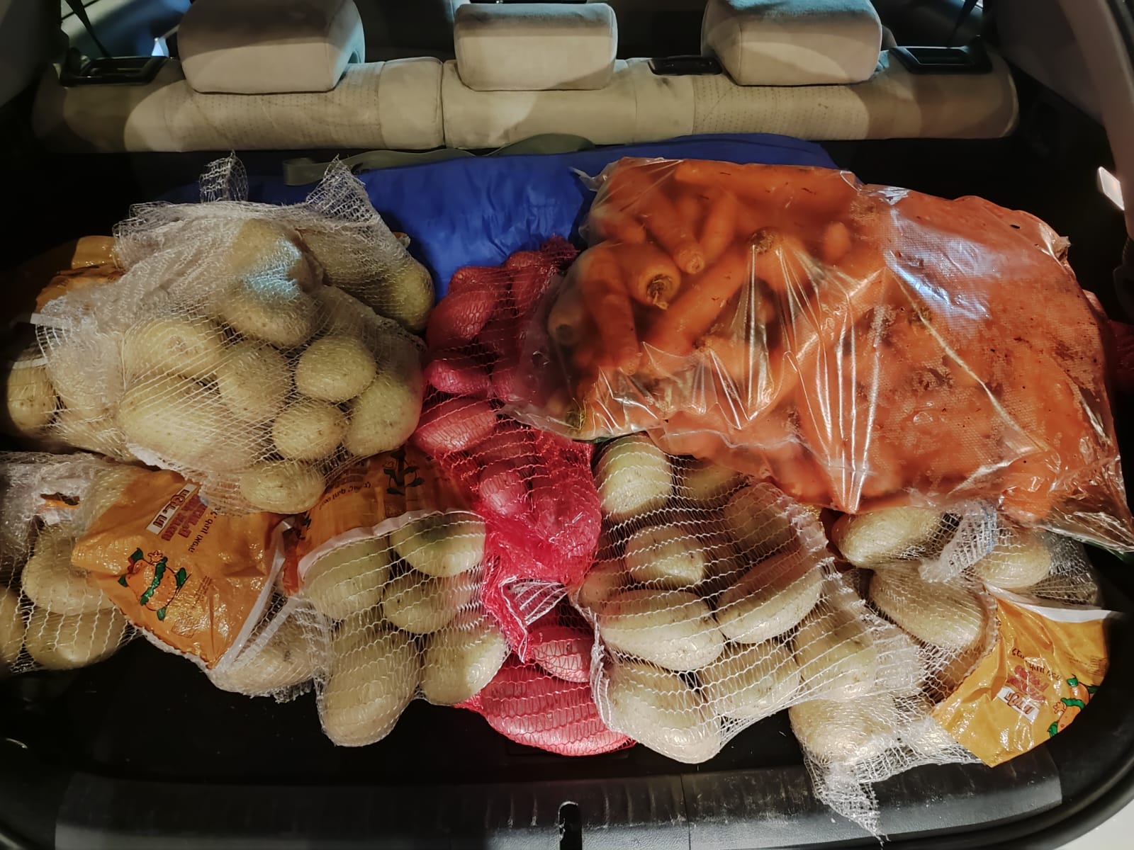 ירקות ופירות